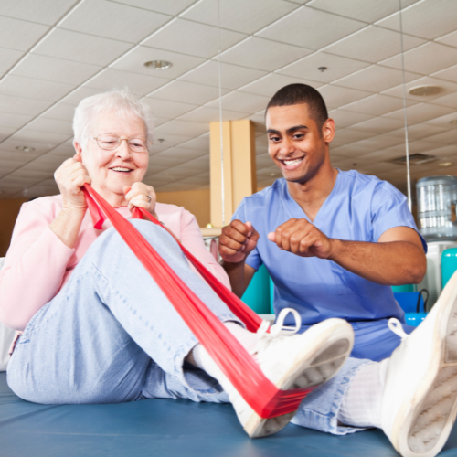 Hospice Physical Therapist
